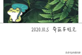 国庆长假，您的旅行蛙寄来了明信片……图片