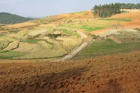 农村承包地有三大变化，这三大禁忌要注意，两类人将受处罚图片