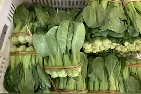 炒青菜时，牢记3个窍门，不管炒什么青菜都鲜嫩翠绿，好吃不出水图片