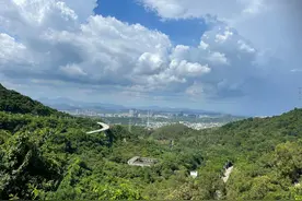 看完坪山的房价，我心虚了图片