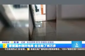 家里漏水烧坏电梯 维修费2万多~业主自己承担视频封面