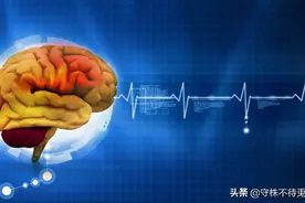 25个冷知识：不经常出现，或许只有少数人知晓的奇怪知识图片