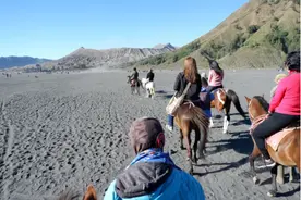 许舍山人：惊心动魄的布鲁莫火山 （印尼游之九）图片