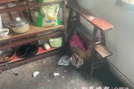独家述评｜一支麻醉枪的难题图片