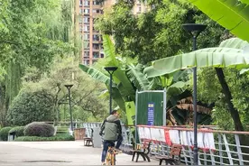 探访天府三街相亲角，成都高质量未婚女聚集地，被嬢嬢三连问鄙视图片