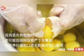 稀奇！买回50枚鸡蛋 打开全是双黄蛋 市民傻眼了！视频封面