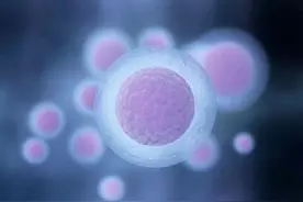 卵子质量差难怀孕怎么办？这4个方法帮你改善卵子质量图片