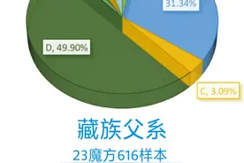 中国主要民族的DNA比例分析：从基因角度来看民族融合的情况图片