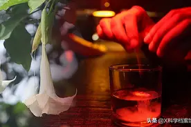 年轻男子饮下植物茶后，割丁丁切舌头，世界剧毒植物致幻有多可怕图片