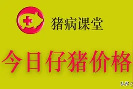 仔猪价格｜3月9日全国仔猪今日价格图表及当前猪市形势分析图片