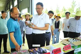 党旗引领强镇路——随县唐县镇抓党建促发展工作纪实图片