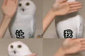 今年研招政策十三大变化，事关22考研每一位考生，认真看！​图片