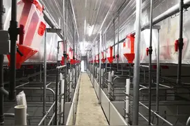 牧原集团溧水生猪养殖项目投用图片
