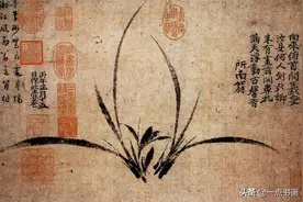 兰花之美，只有中国人能懂图片