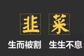 外国网红靠喊“我爱中国”成千万富翁：我求求你，别再当韭菜了！图片