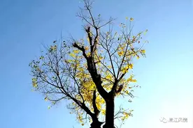丽江一瞬间图片