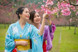 《经济学人》双语：日本的同性婚姻是否合法？图片