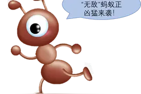 科普 | 无敌蚂蚁！图片