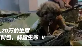 9.9元的盲盒里，抽出一具尸体图片