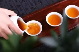 十谈普洱茶，看完这篇你就懂了！图片
