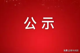 关于干部任前公示的公告图片