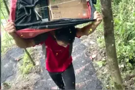 暖心！乡村小路被雨水冲毁快递小哥联手村民搭桥图片