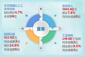 除了宁德时代，还有多少企业在宜春“抢锂”？图片