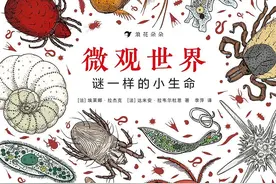 如果世界被放大：蚊子吸血姿态有多美？螨虫怎么在你床上爬？图片