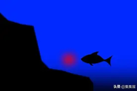 人类所发现的5种神秘而又无法解释的海洋生物图片