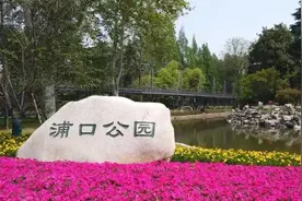 520特别策划 | 穿越半个世纪的江北“爱情地图”图片