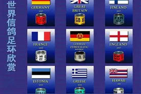 世界信鸽足环欣赏图片