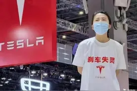 TA才是特斯拉维权女车主，幕后的推手图片