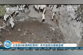 公安部A级通缉犯苏州落网！系列盗掘古墓案告破图片