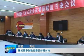 陈红阳、李俊伟、刘学勤、董晓凤等县领导分别参加政协委员分组讨论图片