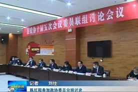 陈红阳、李俊伟、刘学勤、董晓凤等县领导分别参加政协委员分组讨论图片