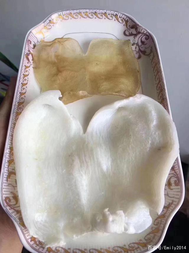 炖好的花胶汤不成冻 2026年炖好的花胶汤不成冻能喝吗