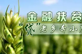 贫困户免息贷款，到期连本金都还不上，怎么办？银行会怎样？图片