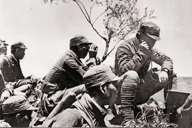 日军来偷袭，哨兵却没有发现，此时一匹拉炮的军马帮了大忙图片