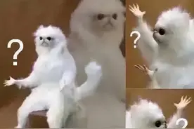 广东省考面试形式再变革图片