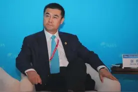 上市公司老总涉黑被判无期，曾找市委副书记当“保护伞”，狂掷5亿买私人飞机图片
