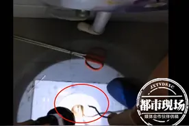 看病钱掉进1米深粪坑！2名工作人员蹲厕所内，跪地将钱捞出图片