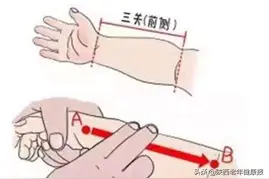 「安军明教授谈小儿推拿」（7）三关补虚损图片