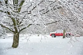 白雪皑皑的雪堆图片