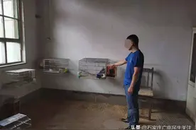 裕华警方破获一起涉嫌危害珍贵、濒危野生动物案图片