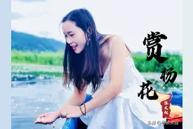带上家人一起去云南看看吧图片