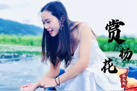 带上家人一起去云南看看吧图片