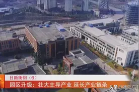 日新衡阳 （6）  园区升级：壮大主导产业 延长产业链条图片