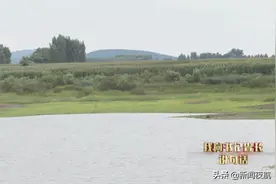 记者调查丨集体水库个人承包 高价卖水灌溉水稻图片