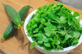在河南黄瓜和荆菜叶还能这样吃，一搅一烙皮薄如纸、咬一口都是菜图片