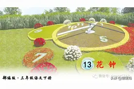 部编版三年级下册语文《13.花钟》学习课件图片